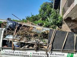 Best Yard Waste Removal  in Jesup, IA