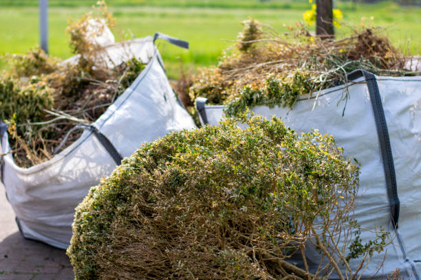 Best Scrap Metal Removal  in Jesup, IA