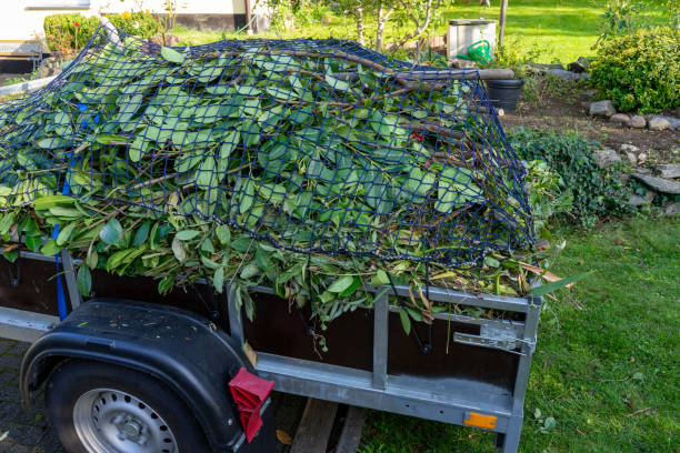 Best Moving and Downsizing Cleanouts  in Jesup, IA